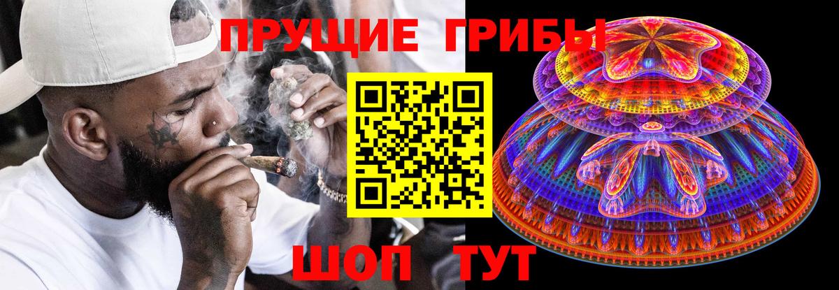 Дагестанские Огни  Галлюциногенные грибы прущие грибы  Вход с VPN 